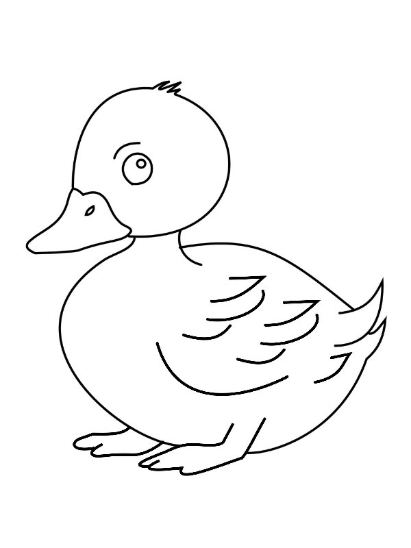 Dibujo de Pato adorable para Colorear Dibujo de Pato adorable para Colorear