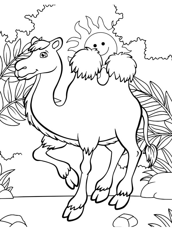 Dibujo de lindo camello para Colorear Dibujo de lindo camello para Colorear