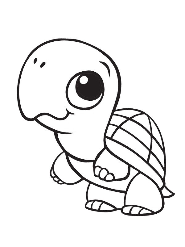 Dibujo de linda tortuga para Colorear Dibujo de linda tortuga para Colorear