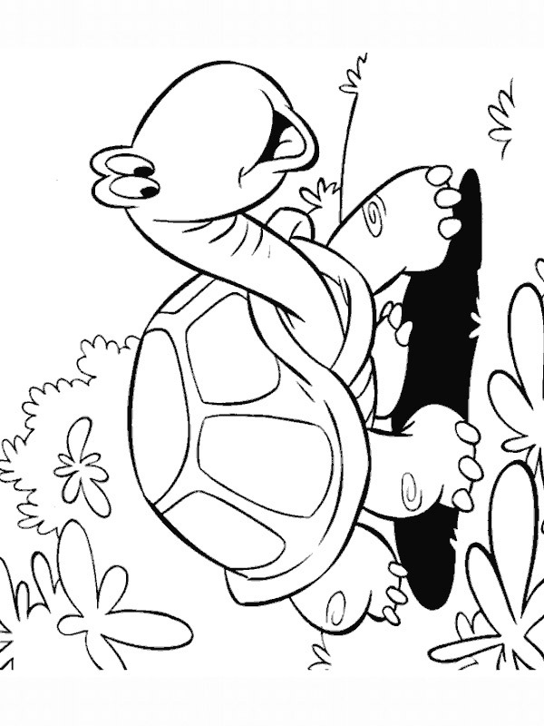 Dibujo de La tortuga se pasea para Colorear