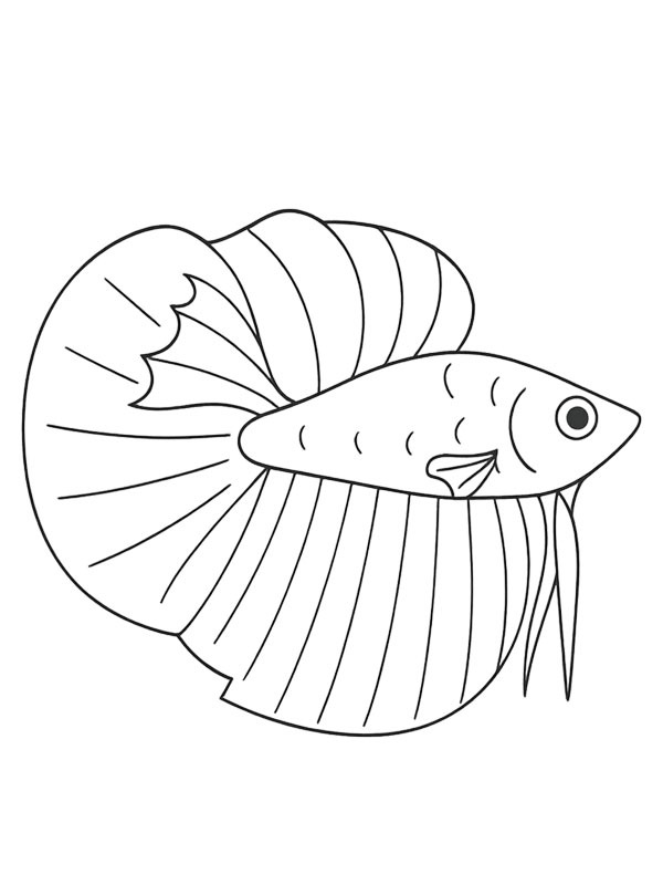 Dibujo de Pez betta para Colorear Dibujo de Pez betta para Colorear