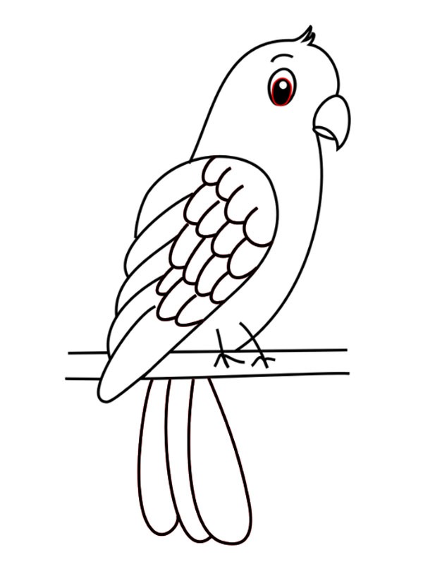 Dibujo de Loro sencillo para Colorear Dibujo de Loro sencillo para Colorear