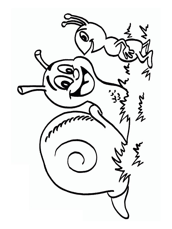 Dibujo de Caracol y hormiga para Colorear Dibujo de Caracol y hormiga para Colorear