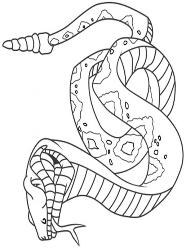 Dibujo de Serpiente para Colorear