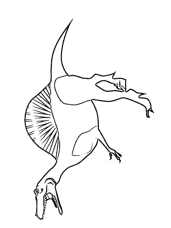 Dibujo de Spinosaurus para Colorear