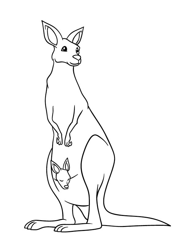 Dibujo de Canguro de pie con bebé para Colorear Dibujo de Canguro de pie con bebé para Colorear