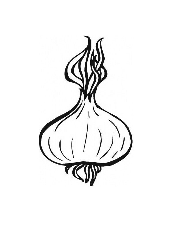 Dibujo de Cebolla para Colorear Dibujo de Cebolla para Colorear