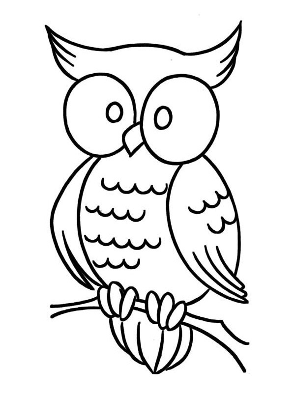 Dibujo de Búho para Colorear Dibujo de Búho para Colorear