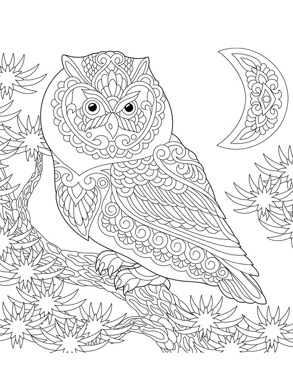 Dibujo de Búho para adultos para Colorear Dibujo de Búho para adultos para Colorear