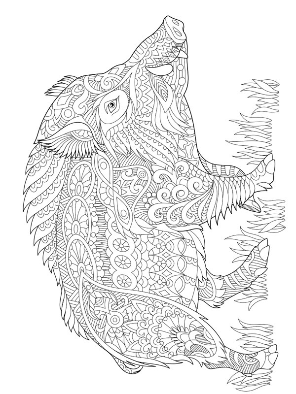 Dibujo de Mandala de cerdo para Colorear