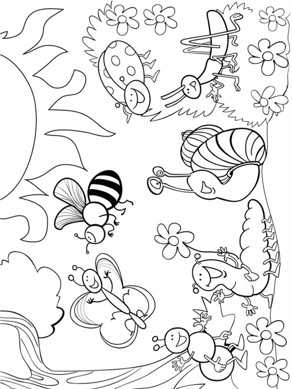 Dibujo de Diferentes insectos para Colorear Dibujo de Diferentes insectos para Colorear