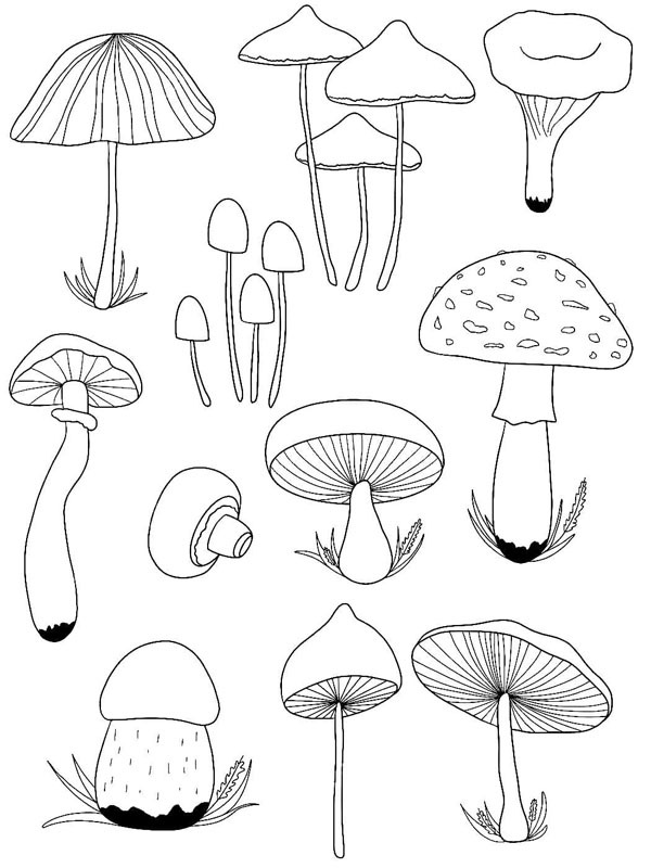 Dibujo de diferentes setas para Colorear Dibujo de diferentes setas para Colorear