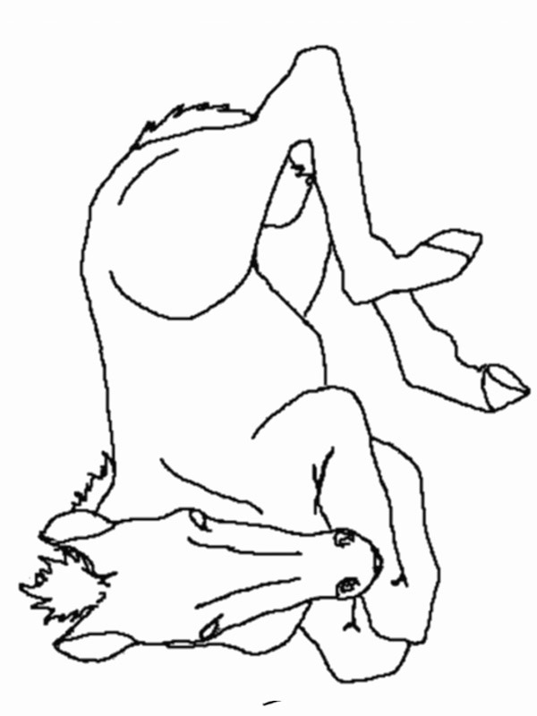 Dibujo de Potro para Colorear Dibujo de Potro para Colorear