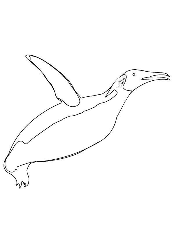 Dibujo de pinguino volando para Colorear