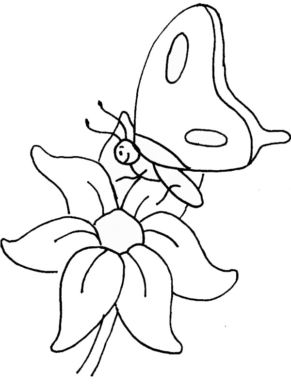 Dibujo de mariposa en la flor para Colorear