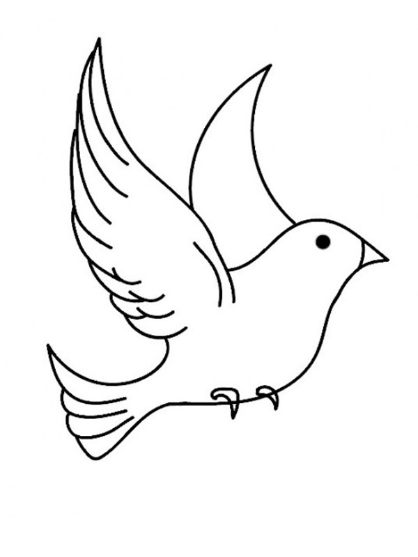 Dibujo de pájaro para Colorear