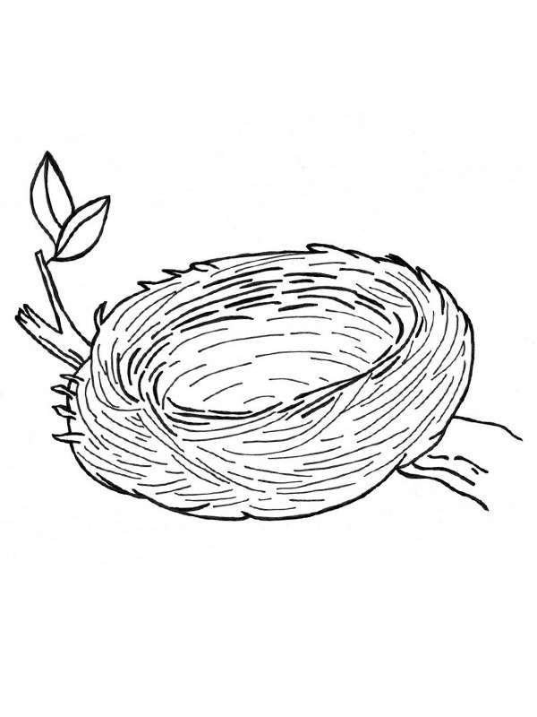 Dibujo de Nido de pájaros para Colorear