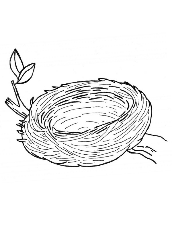 Dibujo de Nido de pájaros para Colorear Dibujo de Nido de pájaros para Colorear