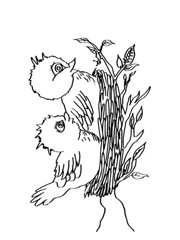 Dibujo de pájaros en el nido para Colorear