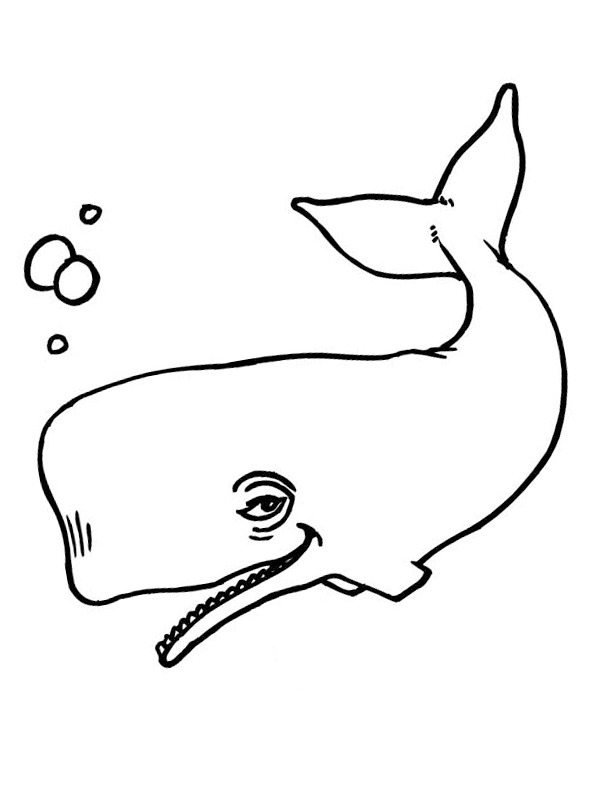 Dibujo de Ballena para Colorear Dibujo de Ballena para Colorear