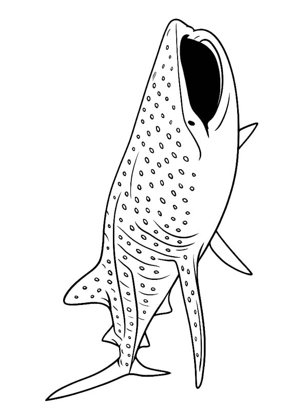 Dibujo de Tiburón ballena para Colorear Dibujo de Tiburón ballena para Colorear
