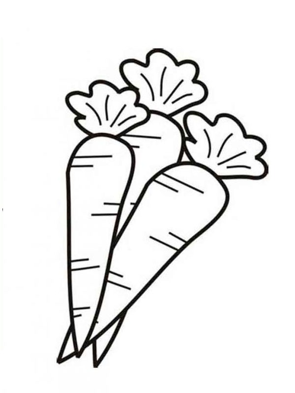 Dibujo de Zanahorias para Colorear