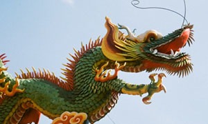 Dragón
