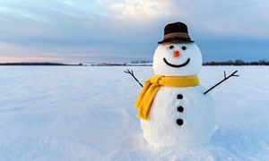 Muñeco de nieve